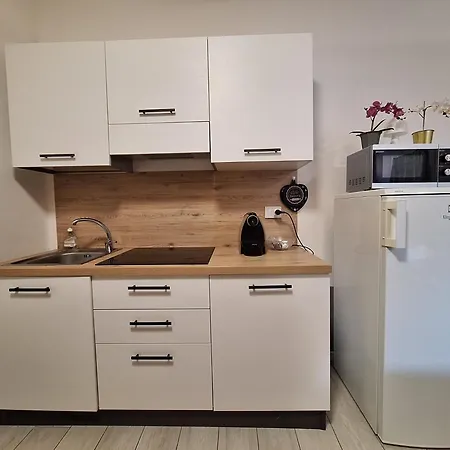 White Roses- Free Park Mazzini Sant'orsola Διαμέρισμα