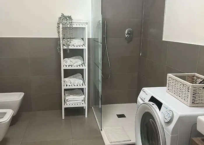 White Roses- Free Park Mazzini Sant'orsola * Bologna