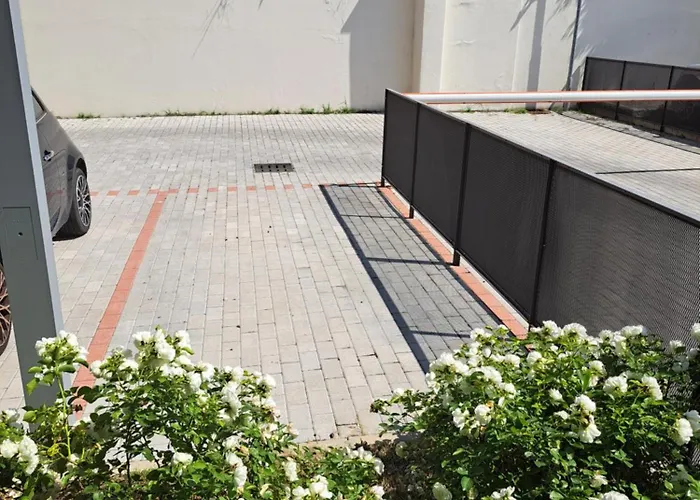 White Roses- Free Park Mazzini Sant'orsola