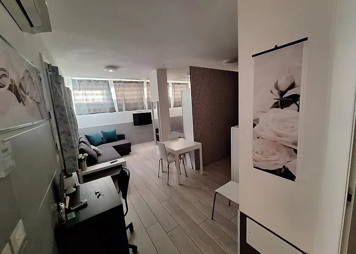 White Roses- Free Park Mazzini Sant'orsola