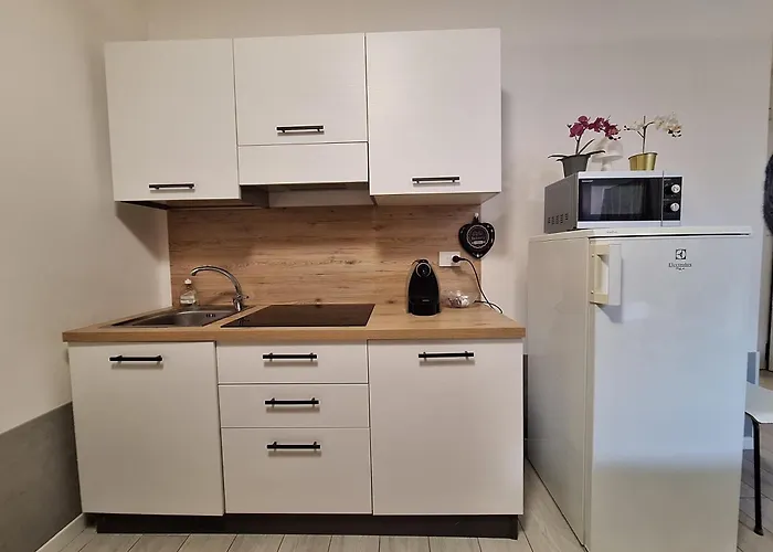 White Roses- Free Park Mazzini Sant'orsola Apartman