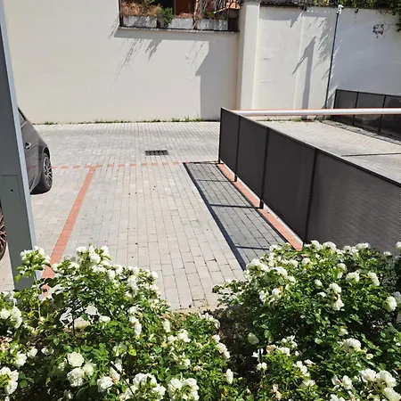 White Roses- Free Park Mazzini Sant'orsola