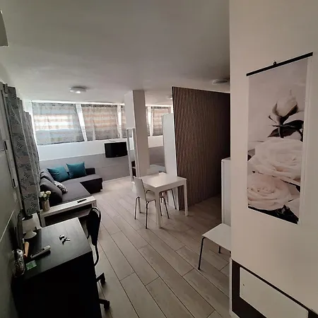 White Roses- Free Park Mazzini Sant'orsola